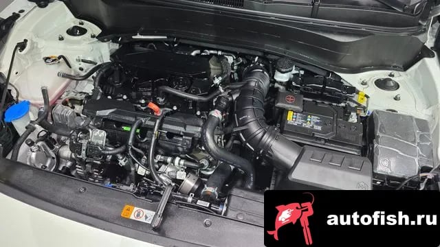 Kia Seltos The New Celtos 2025 года - вид 6