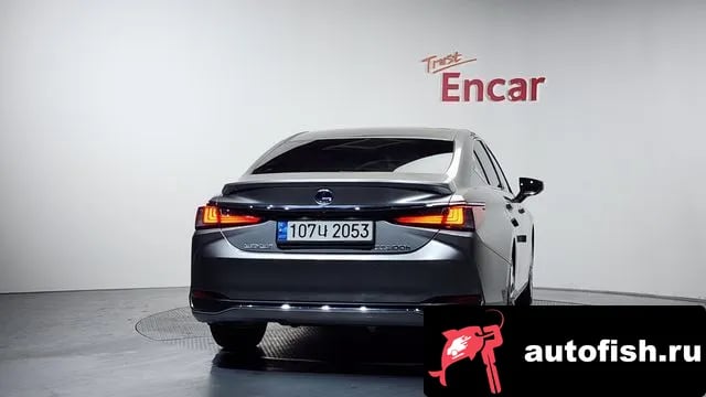 Lexus ES ES300h 7th generation 2022 года - вид 4