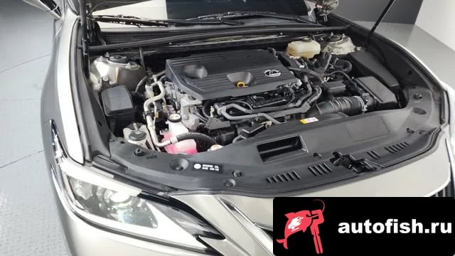 Lexus ES ES300h 7th generation 2022 года - вид 6