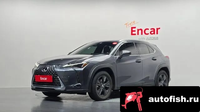 Lexus UX UX300h 2025 года - автомобиль из Южной Кореи