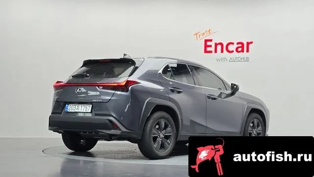 Lexus UX UX300h 2025 года - вид 2