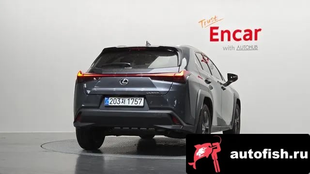 Lexus UX UX300h 2025 года - вид 4