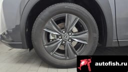 Миниатюра 5