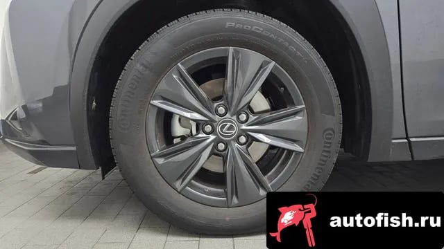 Lexus UX UX300h 2025 года - вид 5