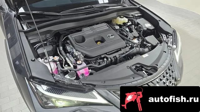 Lexus UX UX300h 2025 года - вид 6