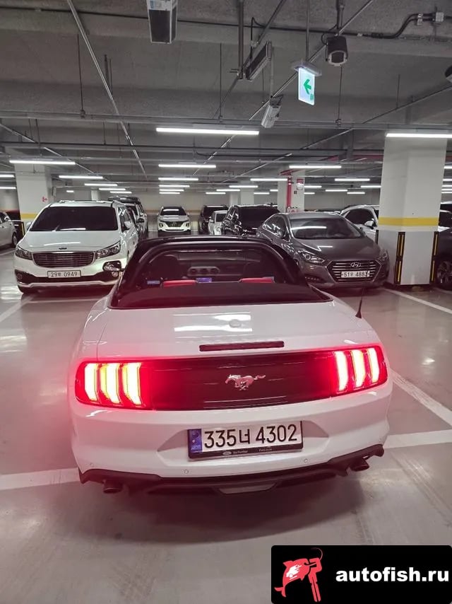 Ford Mustang Mustang 2022 года - похожие автомобили