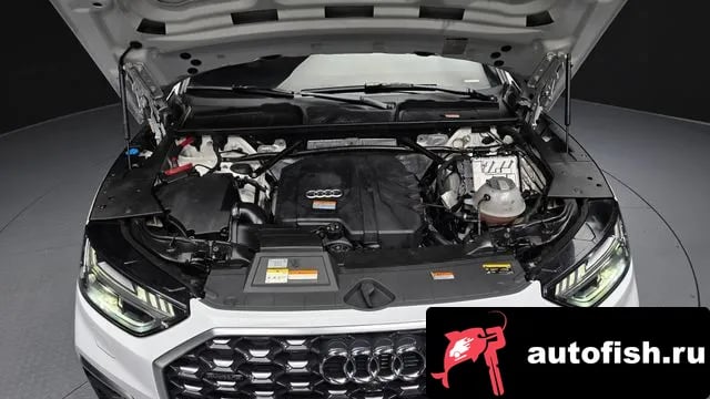 Audi Q5 Q5 (FY) 2023 года - вид 6