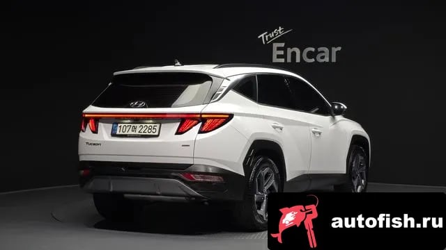 Hyundai Tucson Tucson (NX4) 2020 года - вид 2