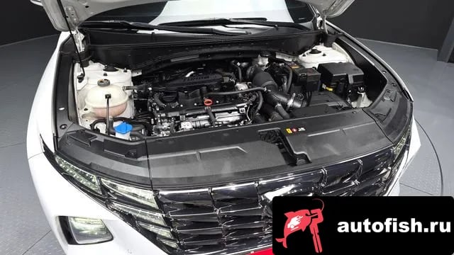 Hyundai Tucson Tucson (NX4) 2020 года - вид 6