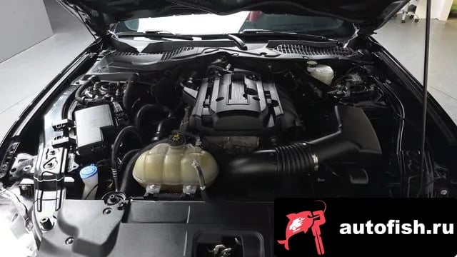 Ford Mustang Mustang 2022 года - похожие автомобили