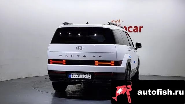 Hyundai Santafe San Tafe (MX5) 2024 года - вид 4