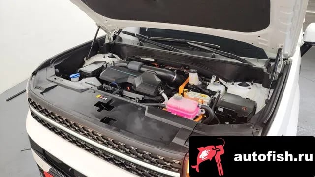 Hyundai Santafe San Tafe (MX5) 2024 года - вид 6