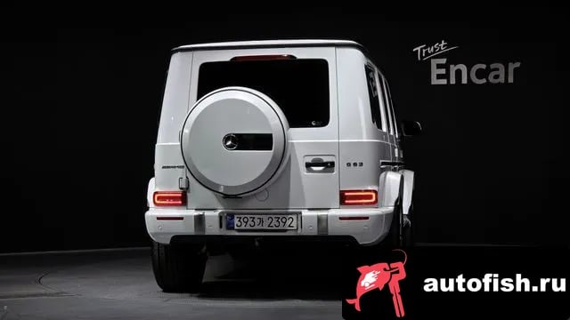 Mercedes-Benz G-Class G-Class W463b 2023 года - вид 4