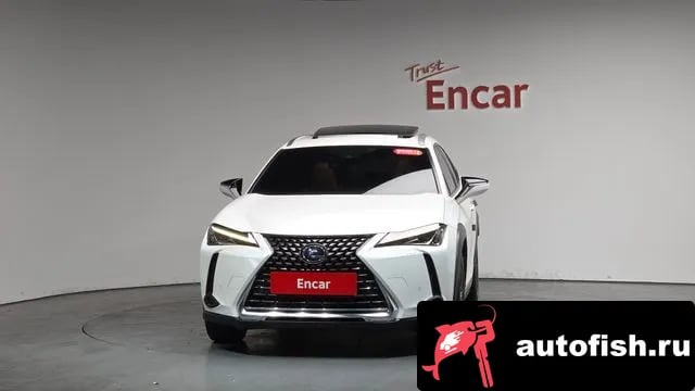 Lexus UX UX250h 2019 года - вид 2