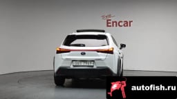 Миниатюра 3