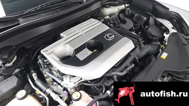 Lexus UX UX250h 2019 года - вид 5