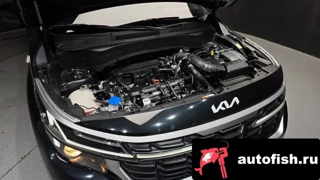 Kia Seltos The New Celtos 2023 года - вид 6