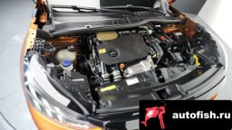 Миниатюра 6