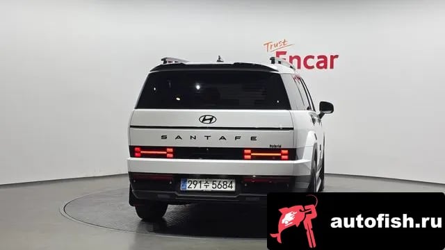 Hyundai Santafe San Tafe (MX5) 2024 года - вид 4