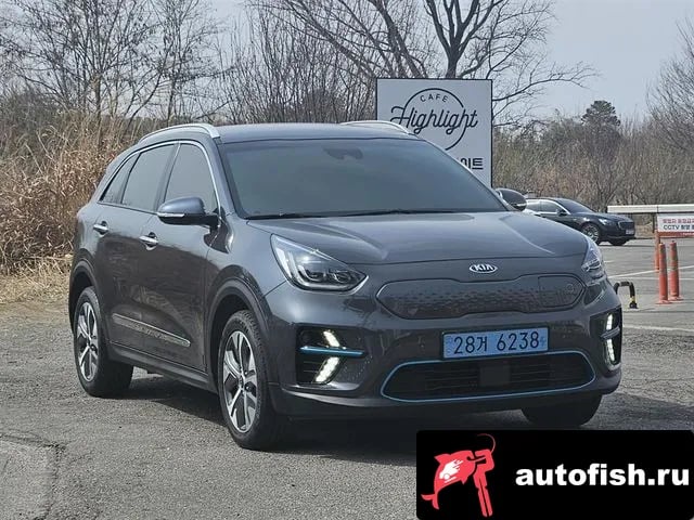 Kia Niro Niro EV 2020 года - автомобиль из Южной Кореи