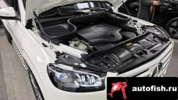 Миниатюра 6