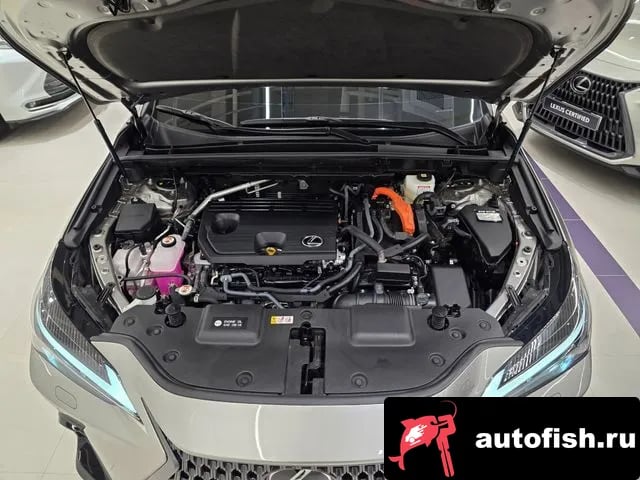 Lexus NX NX350h Second generation 2025 года - вид 6