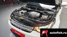 Миниатюра 6