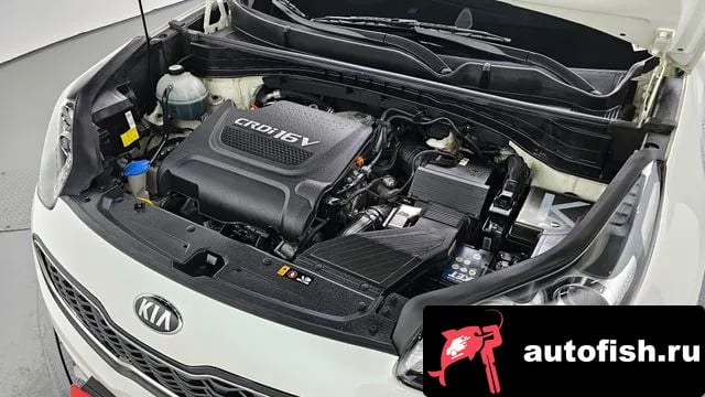 Kia Sportage Sportage 4th Generation 2018 года - вид 6