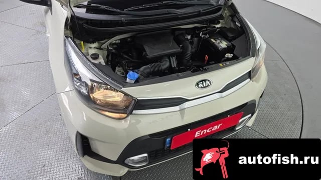 Kia morning Morning Urban (JA) 2021 года - вид 6