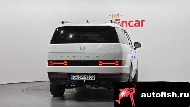 Hyundai Santafe San Tafe (MX5) 2024 года - вид 4