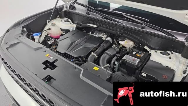 Hyundai Santafe San Tafe (MX5) 2024 года - вид 6