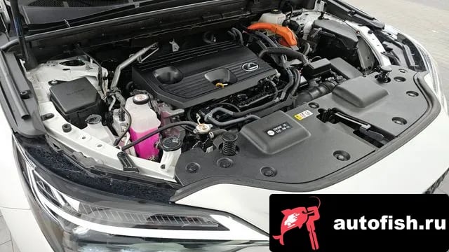 Lexus NX NX350h Second generation 2024 года - вид 6