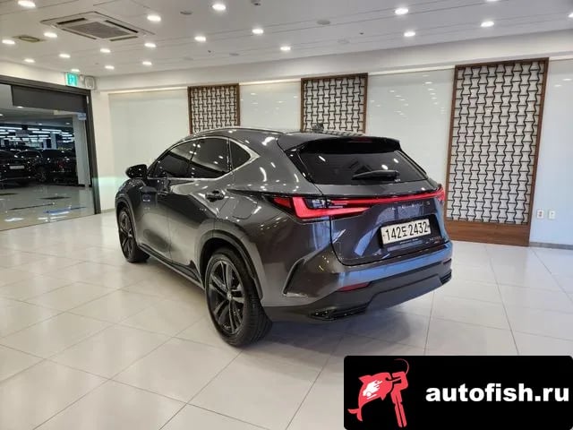Lexus NX NX350h Second generation 2022 года - похожие автомобили