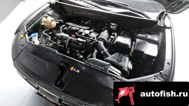 Hyundai Tucson Tucson (NX4) 2021 года - вид 5
