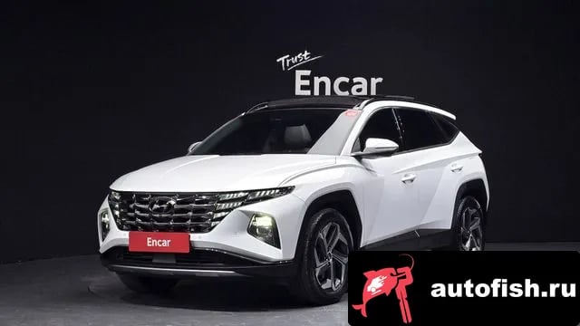 Hyundai Tucson Tucson (NX4) 2020 года - вид 1