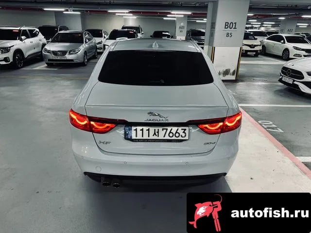 Jaguar XF XF (X260) 2020 года - вид 4