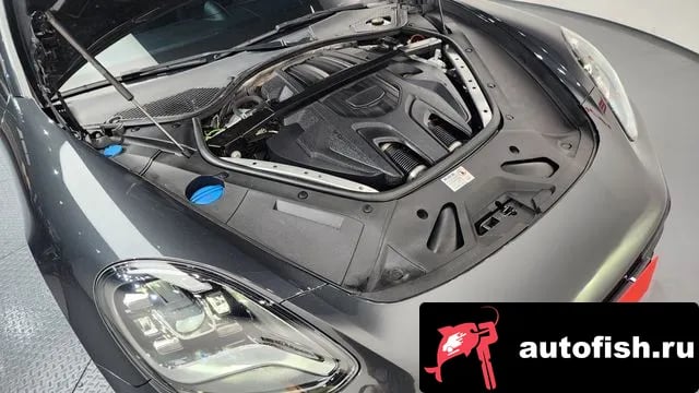 Porsche Panamera Panamera (971) 2023 года - вид 6