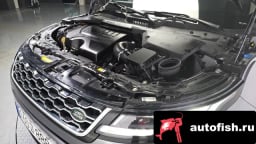 Миниатюра 6