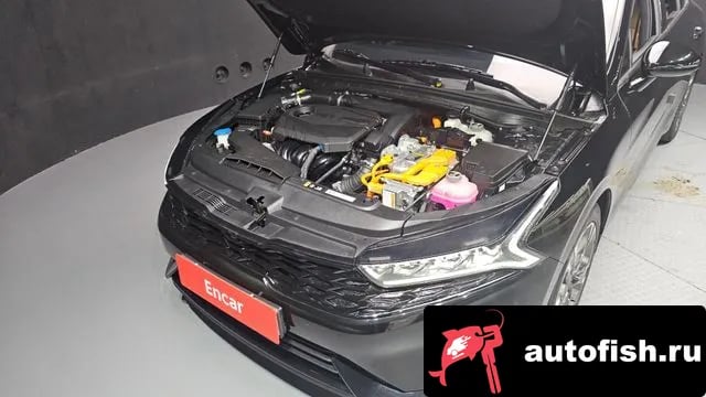 Kia K5 K5 Hybrid 3rd Generation 2023 года - вид 6