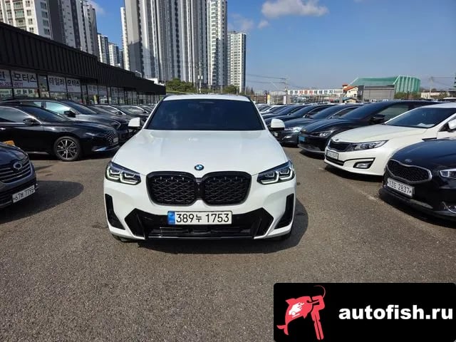BMW X4 X4 (G02) 2023 года - вид 1
