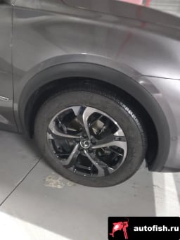 Миниатюра 5