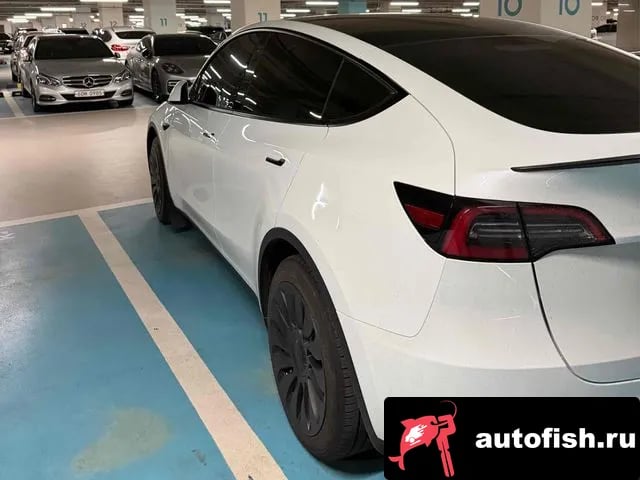 Tesla Model Y Model Y 2023 года - похожие автомобили