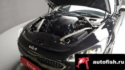 Миниатюра 6