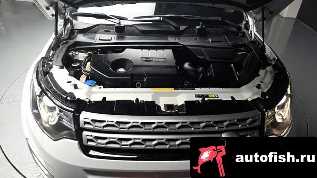 Land Rover Discovery Sport Discovery Sports 2019 года - вид 6