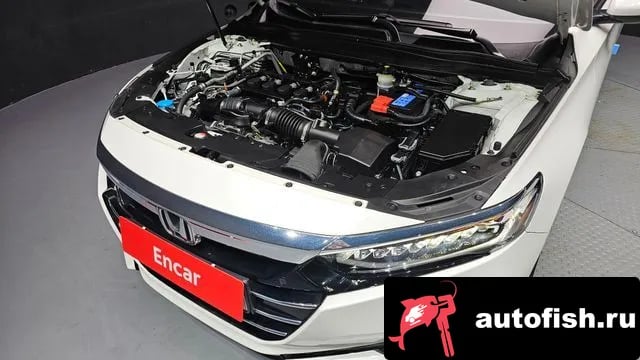 Honda Accord Accord 10th Generation 2022 года - вид 6