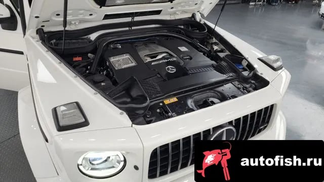 Mercedes-Benz G-Class G-Class W463b 2021 года - вид 6