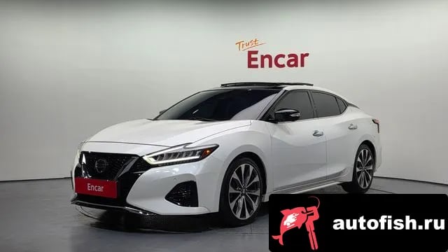 Nissan Maxima Maxima (A36) 2019 года - автомобиль из Южной Кореи