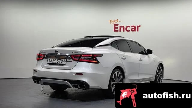 Nissan Maxima Maxima (A36) 2019 года - вид 2