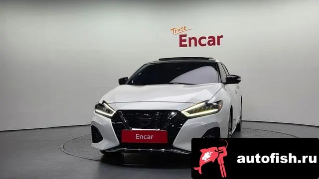 Nissan Maxima Maxima (A36) 2019 года - вид 3