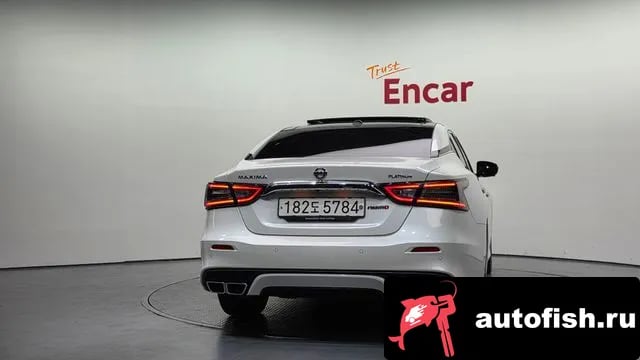 Nissan Maxima Maxima (A36) 2019 года - вид 4